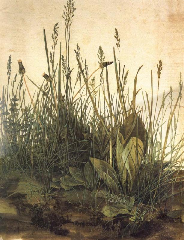 Albrecht Durer The Great Ture Spain oil painting art